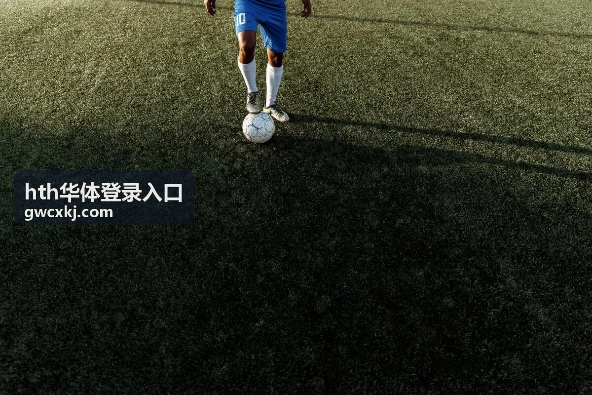 hth华体登录入口 客户端下载中心界面截图