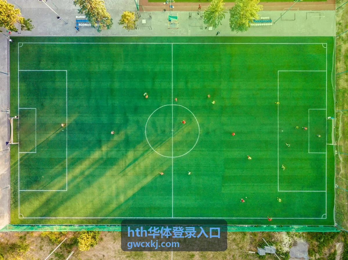 hth华体登录入口更换手机号后登录示意
